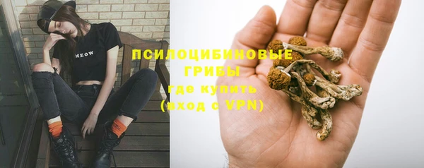 тгк Кулебаки